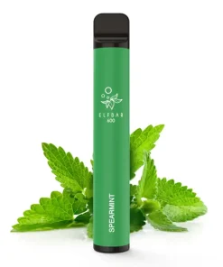 Alternative view of Elfbar 600 Spearmint 20mg Nic Salz